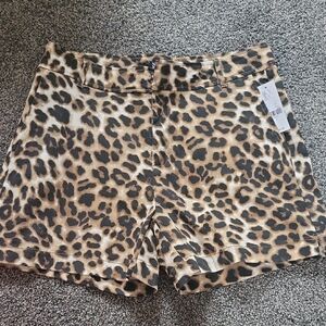 New York & Company 4" Leopard Print Shorts Size 2